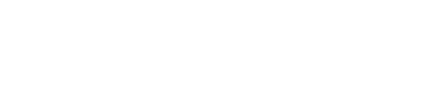 Wahsega Logo White Retina